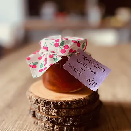 Casaviva * Pozzo (Arezzo)