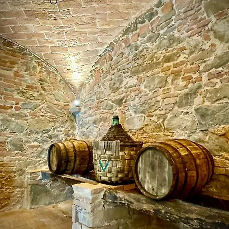 Casaviva 农家乐 *