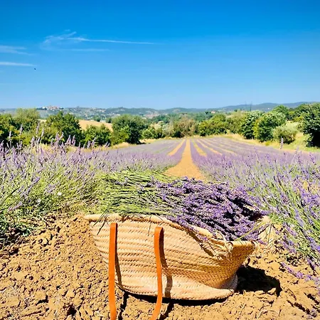 Alloggio per agriturismo Casaviva Pozzo (Arezzo)